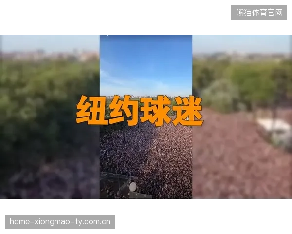 尼克斯强势反弹：纽约的篮球之光再度闪耀